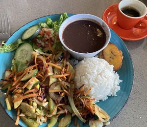 Vegan rice plate   at Havana Cabana in Kanab
