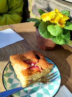 Plum and almond cake at Stanley & Ramona in York