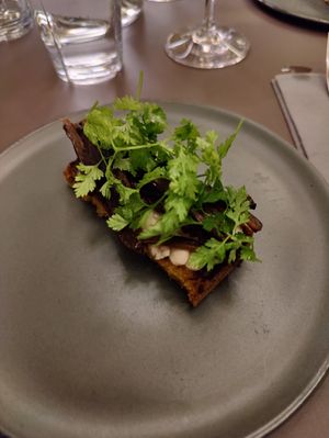  at Beyla in Copenhagen