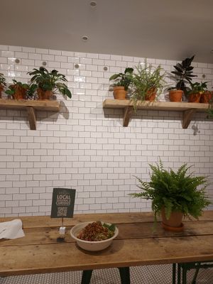  at Sprout & Co - Dawson St in Dublin