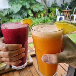  at El Garden in Antigua