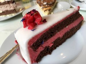 cake galore at Micky und Molly Katzenmuseum und Cafe in Braunschweig