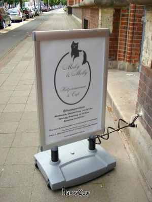  at Micky und Molly Katzenmuseum und Cafe in Braunschweig