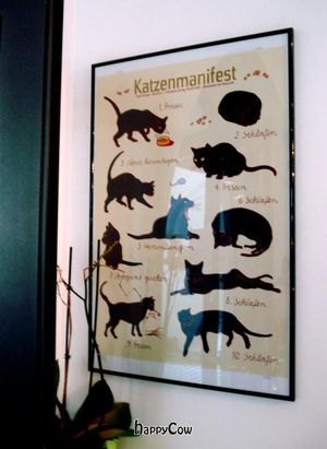  at Micky und Molly Katzenmuseum und Cafe in Braunschweig