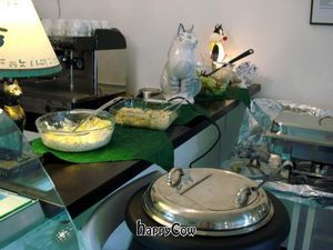  at Micky und Molly Katzenmuseum und Cafe in Braunschweig