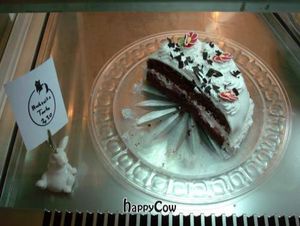  at Micky und Molly Katzenmuseum und Cafe in Braunschweig