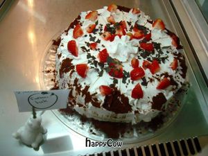  at Micky und Molly Katzenmuseum und Cafe in Braunschweig