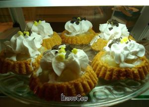  at Micky und Molly Katzenmuseum und Cafe in Braunschweig