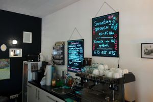 Micky & Molly, June 2014 at Micky und Molly Katzenmuseum und Cafe in Braunschweig