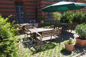 Micky & Molly, June 2014 at Micky und Molly Katzenmuseum und Cafe in Braunschweig