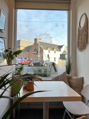 Window seat  #Veganuary at Culture - Cafe & Deli in Inverness
