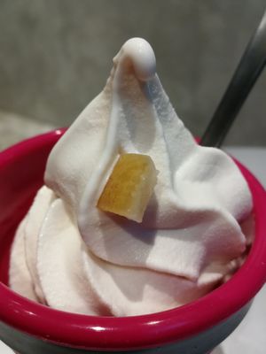 pomelo oat ice cream at Ice Gyaru - 霜淇淋專門店 in Taipei