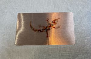 Lizard design logo  at Shardana in Guildford