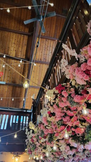 Very photogenic at Harrow and Harvest Cafe in Lilydale