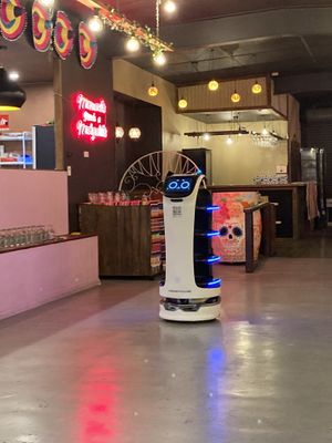 Kitty Robot Waiter  at Tres Mexican in Seaford