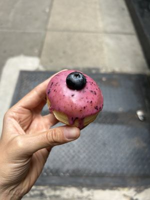Blueberry mini donut  at Cloudy Donut Co in Brooklyn