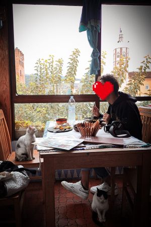  at  Bilmos in Chefchaouen