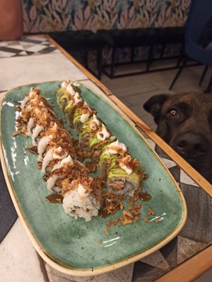 Tonno veg con avocado e salmone veg con boh at Sushi Meshi in Carrara