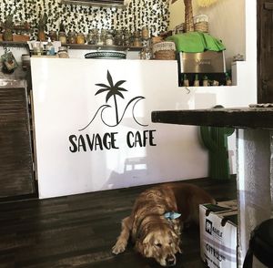   at Savage Cafe in Hyeres