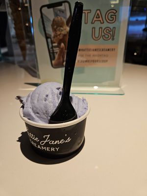 Blue mint chip at Hattie Jane's Creamery in Nashville
