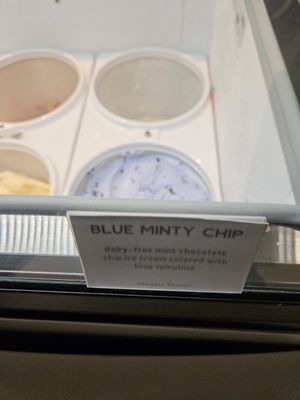 Blue minty chip at Hattie Jane's Creamery in Nashville