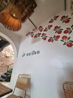  at Seibo in Buenos Aires