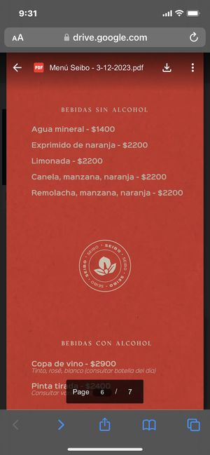 Menu 1/6/24  at Seibo in Buenos Aires