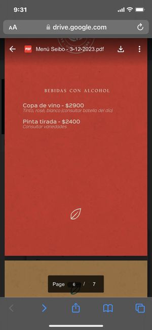 Menu 1/6/24  at Seibo in Buenos Aires