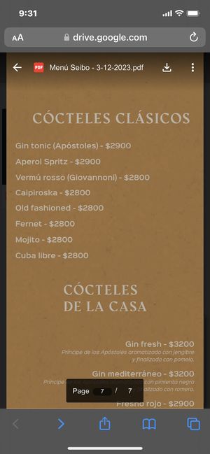 Menu 1/6/24  at Seibo in Buenos Aires