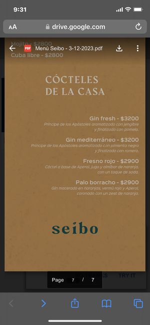 Menu 1/6/24  at Seibo in Buenos Aires