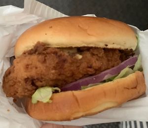 Blurry picture of my chicken ranch sandwich   at HipCityVeg - Rittenhouse in Philadelphia