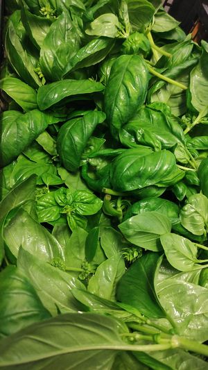 Ingredientes frescos at DALL'ITALIANO BEACH in Menorca