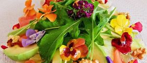 Ensaladas at DALL'ITALIANO BEACH in Menorca