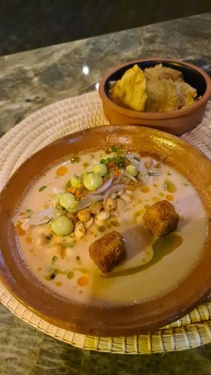   at Agave Studio in Puerto Ayora