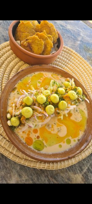  at Agave Studio in Puerto Ayora