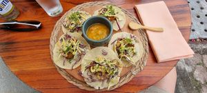 Vegan tacos at Agave Studio in Puerto Ayora