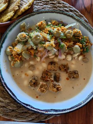 Ceviche con crispy tofu y patacones at Agave Studio in Puerto Ayora
