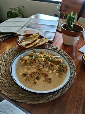 Ceviche con crispy tofu y patacones. Un libro de cocina Ecuatoriano en el fondo. at Agave Studio in Puerto Ayora