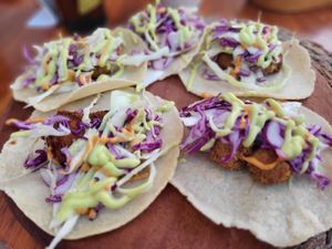  at Agave Studio in Puerto Ayora