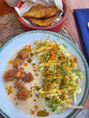  at Agave Studio in Puerto Ayora