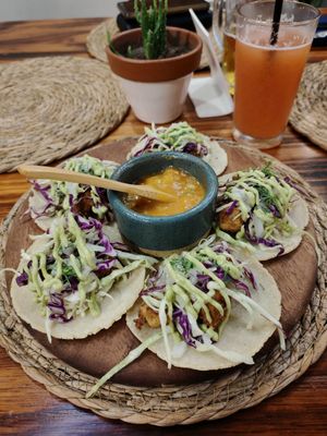 Tofu tacos at Agave Studio in Puerto Ayora