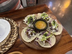   at Agave Studio in Puerto Ayora
