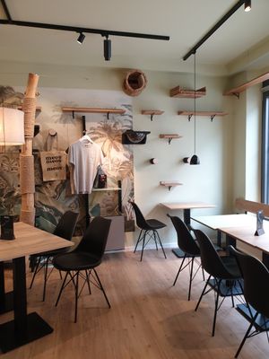 Inside at Katzentempel - Augsburg in Augsburg