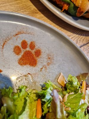 Spicy Paw at Katzentempel - Augsburg in Augsburg