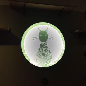   at Katzentempel - Augsburg in Augsburg