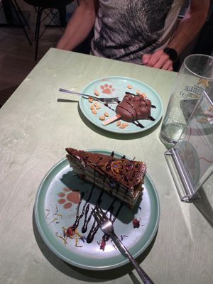  at Katzentempel - Augsburg in Augsburg