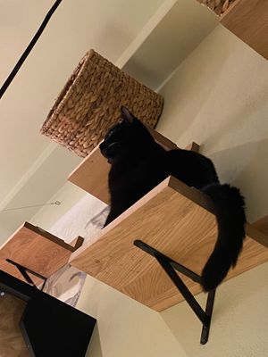  at Katzentempel - Augsburg in Augsburg