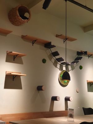  at Katzentempel - Augsburg in Augsburg