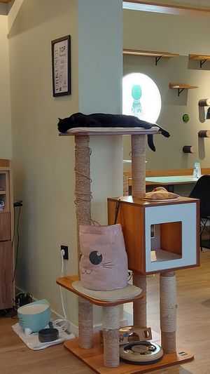  at Katzentempel - Augsburg in Augsburg