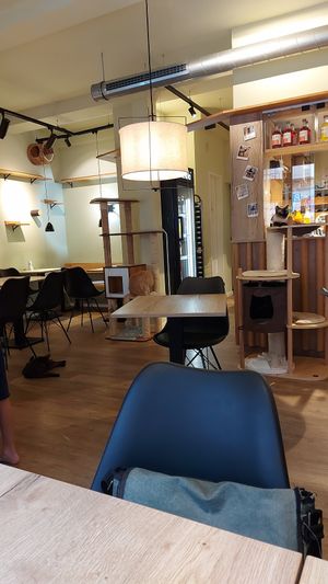  at Katzentempel - Augsburg in Augsburg